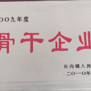 2009年度長溝鎮人民政府骨干企業